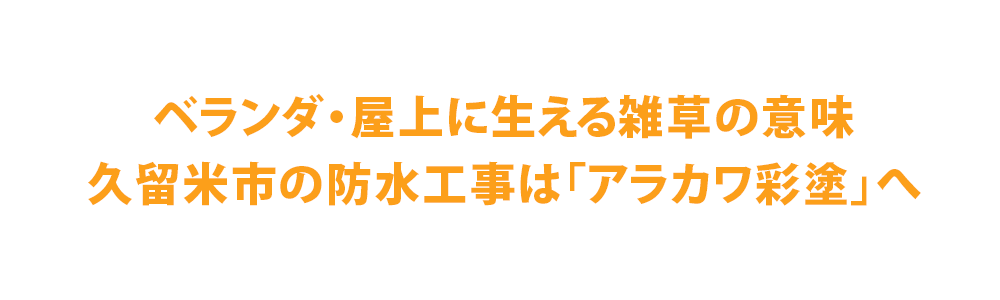 ベランダ・屋上に生える雑草の意味」| 久留米市の防水工事は株式会社アラカワ彩塗へ